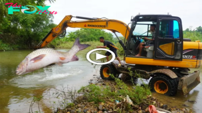 Using Large Excavators to Build Fish Traps and саtсһ Giant Fish Thrills Viewers (Video).sena