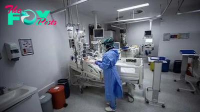Chinese scientists 'successfully' undertake world's 1st liver xenotransplantation surgery for human