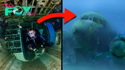 LS ”Breaking News: Mysterious Missing Plane with Intact Pilot’s Skeleton Found 1,000 Meters Underwater”