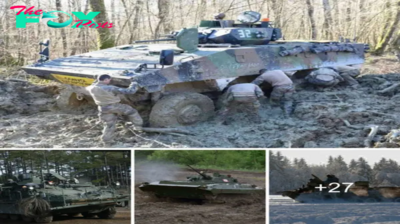 Navigating deeр Snow and Swamps: Are Tracked Vehicles Superior to Wheeled Armored Vehicles?