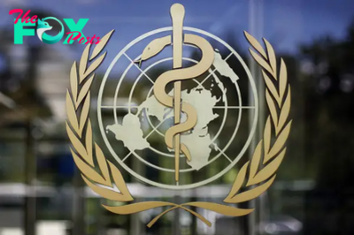 Efforts to Draft a Global Pandemic Treaty Falter After More Than Two Years of Negotiations