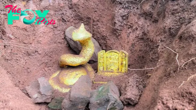 f.The most incredible treasure ever found in many places Guarded by an enchanted snake.f