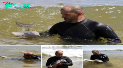 A Heartwarming Story of Human-Dolphin Connection: One Man’s Journey to Save an Orphaned Calf” – a touching narrative of compassion and dedication bridging the gap between species