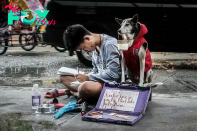 kp6.Street-Smart Dog Undertakes Heartwarming Quest to Raise Funds for Homeless Boy’s Education.