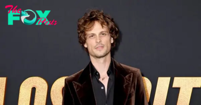 Is Matthew Gray Gubler in Criminal Minds: Evolution Season 2? 