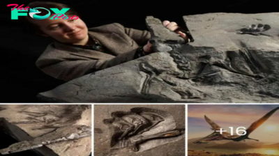 Fantastic! Fossil of 170-million-year-old Pterodactyl unearthed in Scotland is “largest of its kind ever discovered’ And ‘Discovery of the Century’