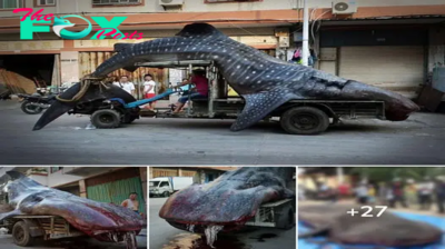 “Sea monster” with a strange shape almost 5 m long discovered in China