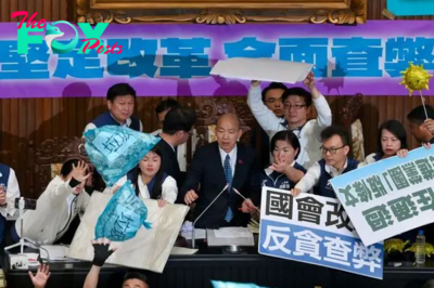 Despite Widespread Protests, Taiwan Passes Controversial Bill Curbing New President’s Power