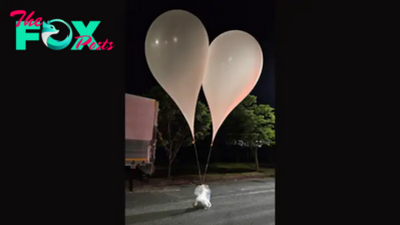 Crap Attack: North Korea Sends Balloons Carrying Trash and Poop to South Korea