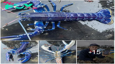 Stunned British Fisherman Catches Ultra-Rare Blue Lobster, Dubbed ‘One in 2 Million,’ and Immediately Releases It