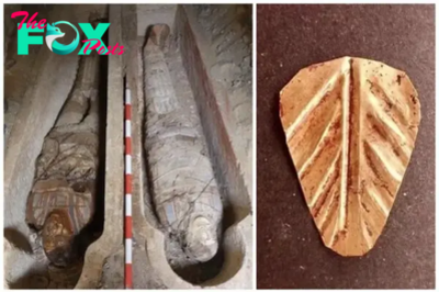 B83. Unveiling Dark Secrets of Ancient Egypt: 70 Million Mummified Animals Uncovered