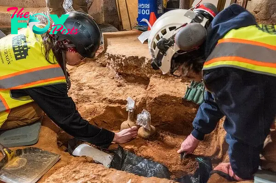 B83.Historic treasure unearthed: Glass bottle of cherries dating back to the 18th century, found at Mount Vernon in Washington, deemed “edible.”