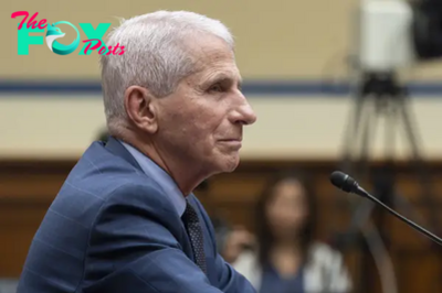 Fauci Testifies Publicly Before House Panel on Covid Origins and Controversies