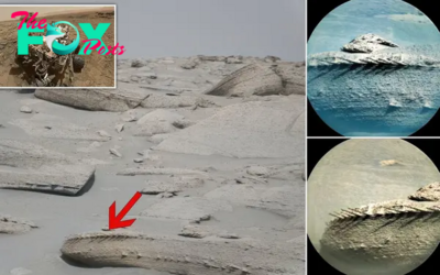 nht.NASA’s Curiosity Rover Unearths Mars Rock Bearing Striking Resemblance to Fossilized Bone