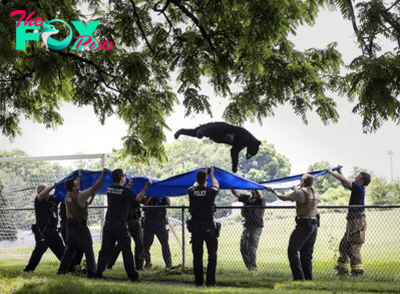 Tranquilized Black Bear Takes Falls Into Waiting Tarp After Suburb Stroll