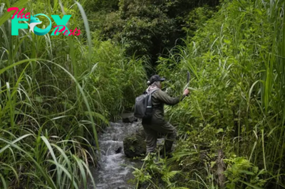 In Indonesia, Women Rangers Go on Patrol to Slow Deforestation