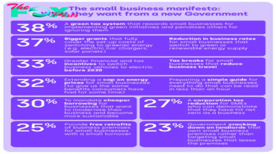 UK SMALL BUSINESSES SET SUSTANABILITY AGENDA FOR A POST ELECTION UK GOVERNMENT