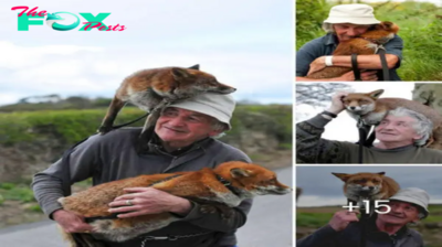 Unexpected Bonds: Heartwarming Tale of a Man’s Rescue and the Unbreakable Friendship that Blossomed with Two Baby Foxes