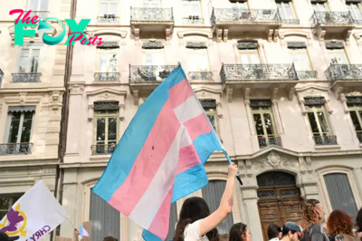 What to Know About the Trans Pride Flag