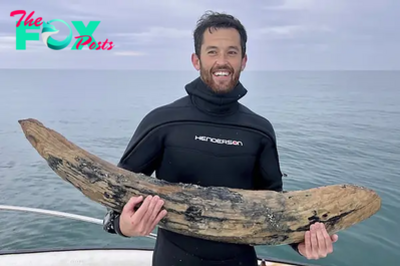 Diver Says He Has Found a Large Section of Mastodon Tusk Off Florida Coast