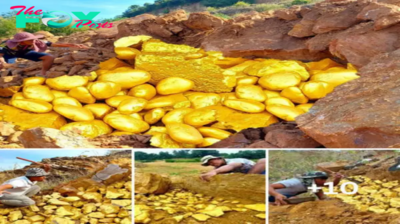 Lamz.Golden Treasures Unearthed: Miners Thrilled as Abundance of Gold and Pearls Discovered Beneath Mountain Rocks