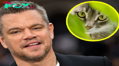 Matt Damon shares remarkable story about cat he rescued from Costa Rican jungle: “He’s like Arnold Schwarzenegger”