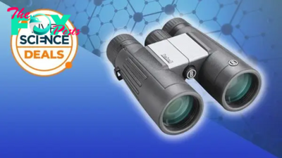Bushnell PowerView 2 binoculars deal: Now under $50 at Amazon