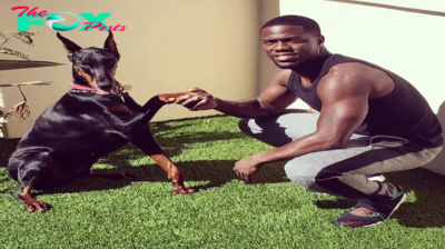 B83.Kevin Hart delights fans with heartwarming photos featuring his beloved furry friends, spreading joy with adorable moments that capture everyone’s hearts.