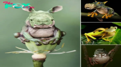 Mutant Frogs: Crossbreeding with multiple species of animals leads to horrible genetic abnormalities.