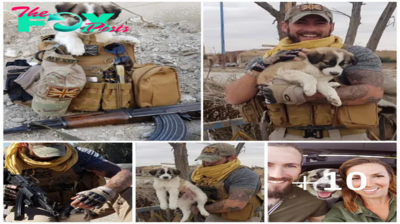 SO.British Soldier Rescues Puppy from War Zone and Welcomes Her as a Cherished Companion.SO