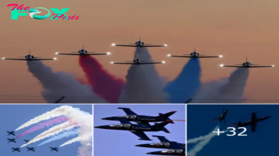 Lamz.Patriots Jet Team: A Symphony of Speed and Precision in the Sky