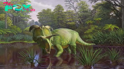 Montana's 'Lokiceratops': Unveiling a Dinosaur with Mythical Horns