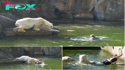 A 32-year-old woman was attacked by a polar bear after she jumped into their enclosure at the Berlin Zoo.