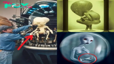 nht.Can aliens reproduce like humans? Experts are investigating to separate fact from fiction.