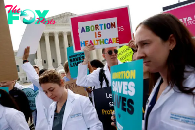 How Doctors Came to Play a Key Role in the Abortion Debate