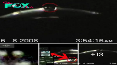 Turkey’s Kumburgaz UFO Mystery: Authentic Videos Show Clear Alien Images, Sparking Scientific Debate Over Astonishing Findings
