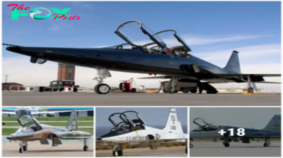 Lamz.The T-38 Talon: Timeless Design and Enduring Versatility in Aviation Marvels