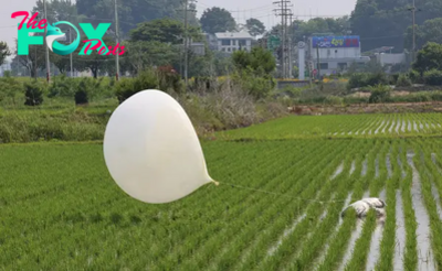South Korea Warns of Parasites as North Sends More Trash- and Poop-Filled Balloons