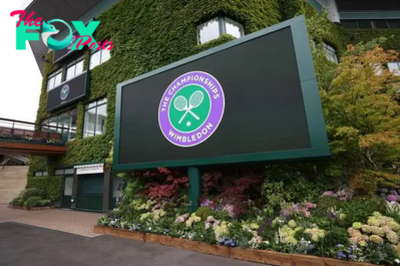 Wimbledon 2024 draw: full schedule, times, players, how to watch