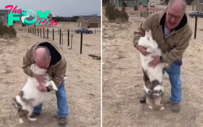 NN.The heartening reunion moment of a sweet, deaf, and blind dog recognizing her grandfather after 290 days apart has touched hearts deeply, showcasing a remarkable display of love and connection between them.
