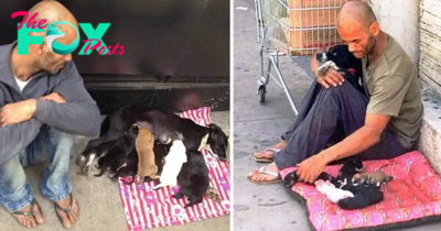 NN.In the midst of homelessness, the man exhibited profound selflessness, foregoing all else to rescue his dog along with her seven puppies, thereby exemplifying a poignant affirmation of compassion and steadfast commitment.