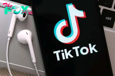 TikTok provides special portal to PTA for removing offensive content