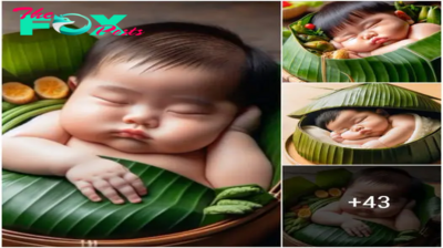 The most tranquil moments in life are spent seeing newborns sleep peacefully