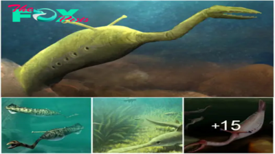 The ancient 300-million-year-old Tully monster was so unusual that scientists still don’t know how to classify it.