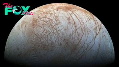 If alien life exists on Europa, we may find it in hydrothermal vents