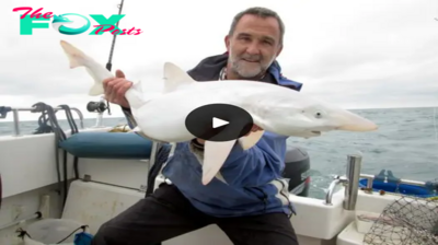 A stunned fisherman catches the first completely white albino shark caught off the coast of the United Kingdom
