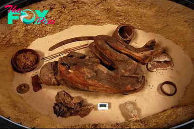 B83.The Goblin Man: A Remarkable 5,500-Year-Old Mummy and the Secrets of His Preservation