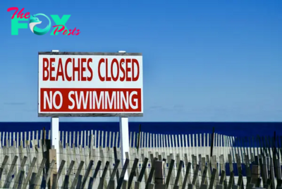 What to Know as High Bacteria Levels Cause Beach Closures Across the United States