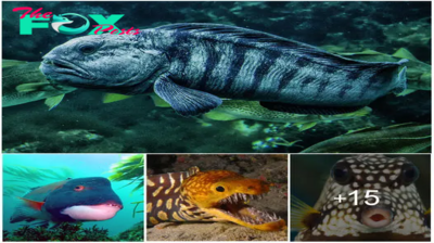 Revealing the Curious and Startling Fishes Hiding in Our Oceans