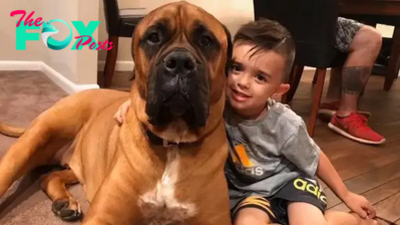 LS ”Dedicated Friend: Dog Stands by 3-Year-Old During Timeout, Winning Hearts on Social Media ‎”
